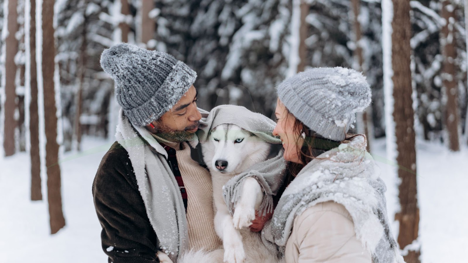 Winter Family Photo Ideas images 12