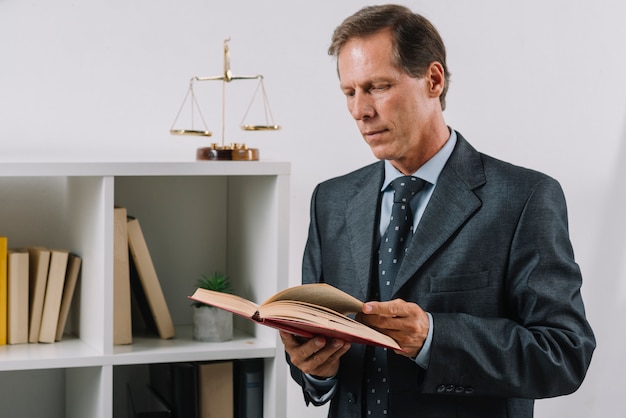 Exploring the Basics of Law and Justice