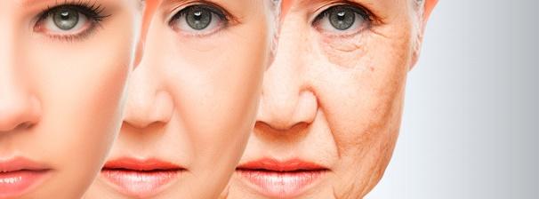 Qué es el envejecimiento? -canalSALUD