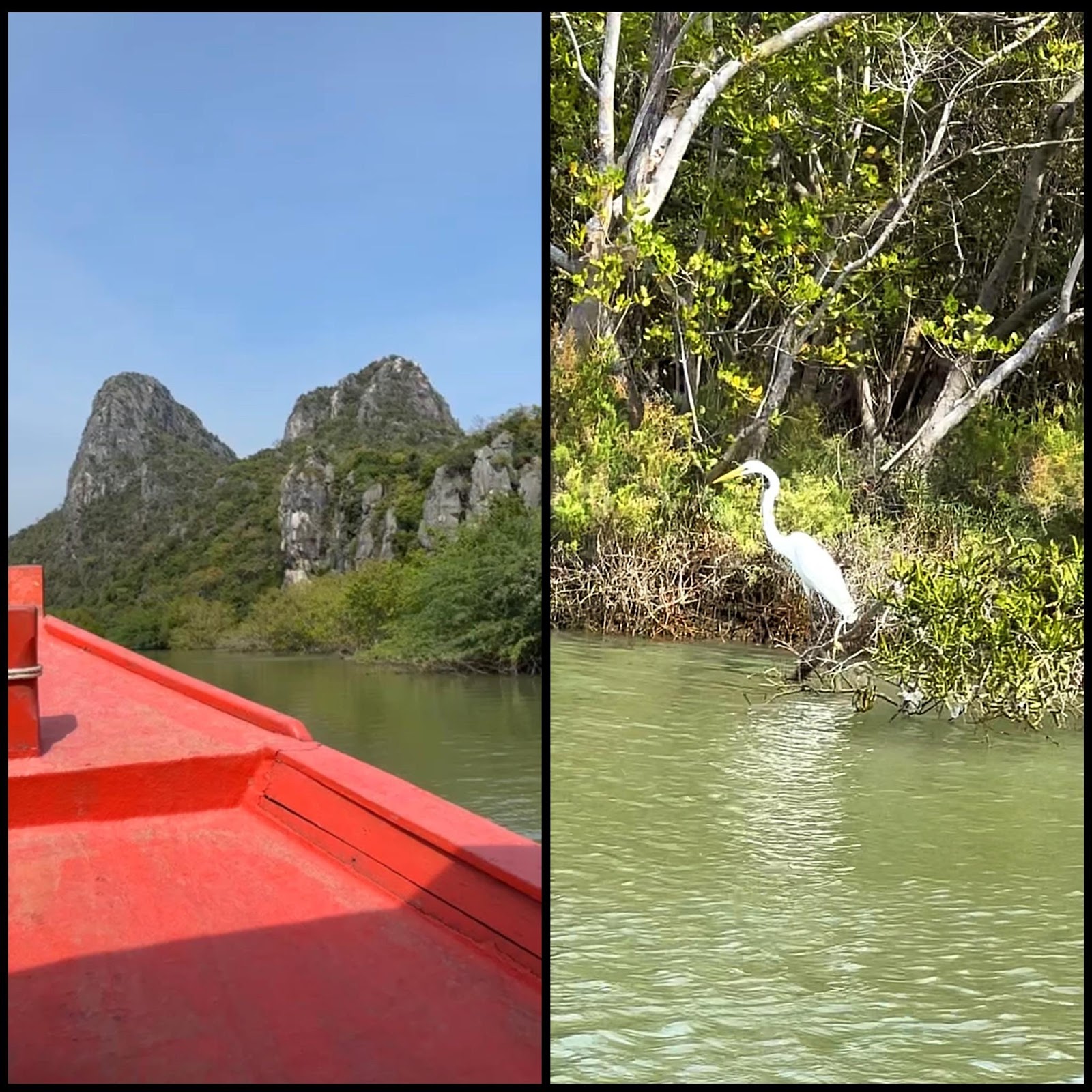 boat passing through a canal with exotic birds in Khao Sam Roi Yot