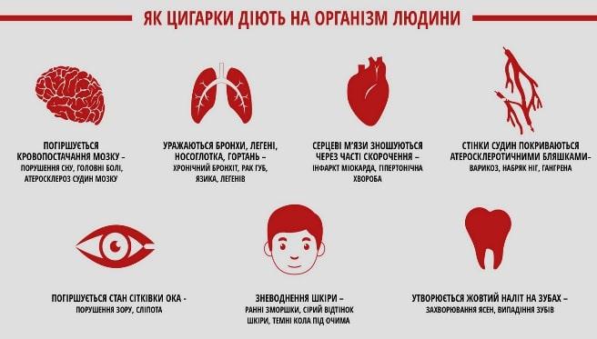 Вплив на різні системи організму.