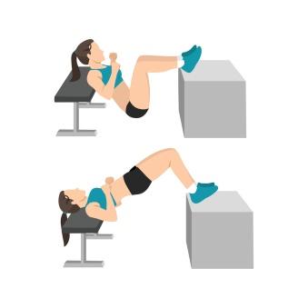 Woman doing elevated barbell flute bridges. hip raises exercise flat vector  illustration isolated on white background 8631529 Vector Art at Vecteezy