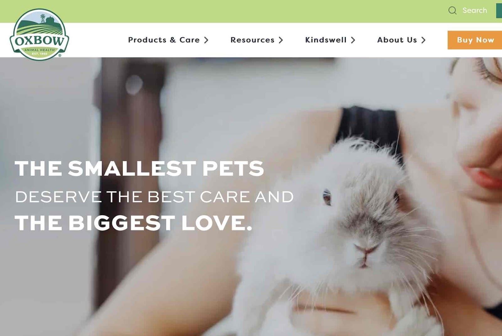 A screenshot of Oxbow Animal Health as a pet brand looking influencers 