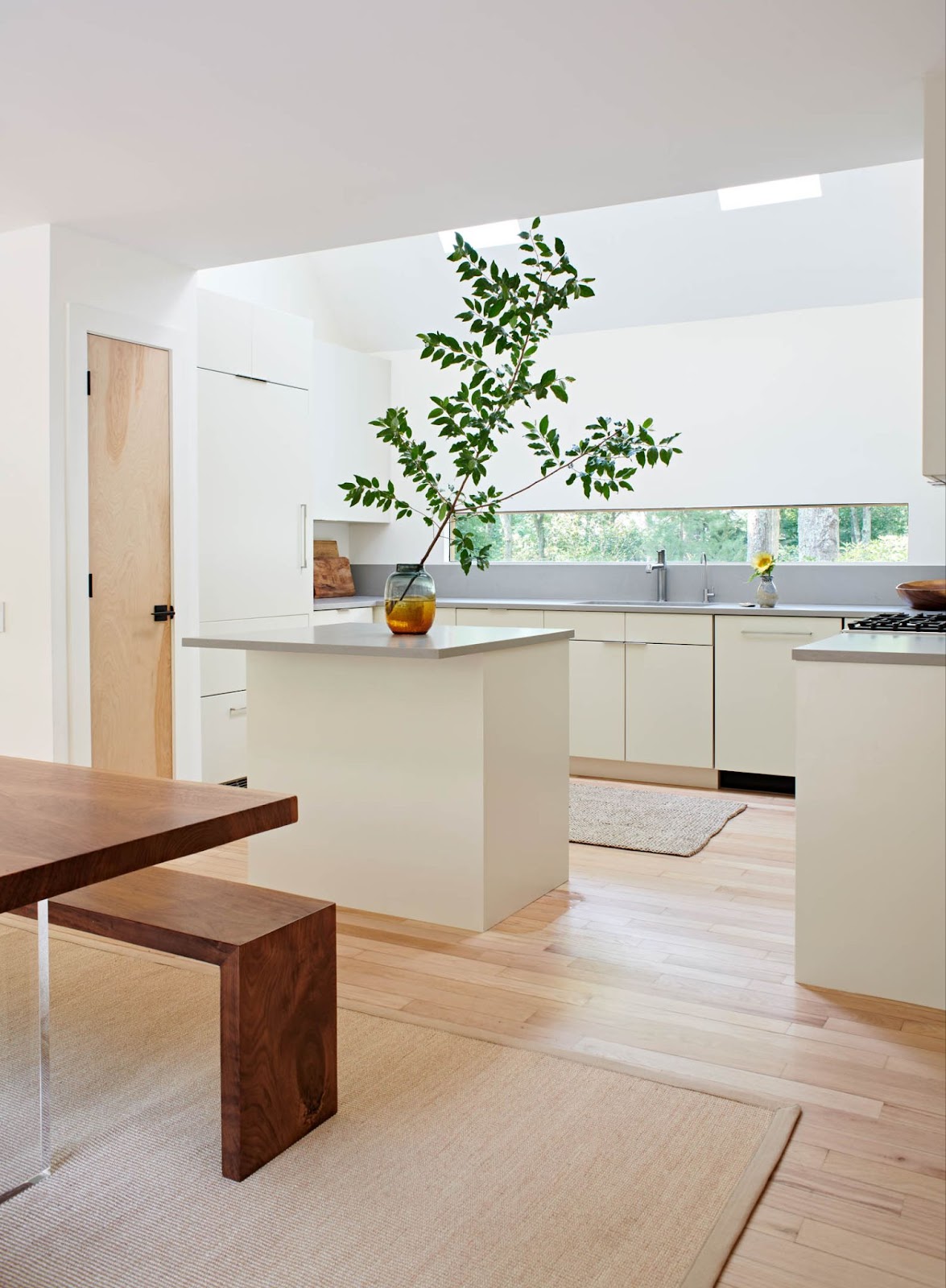 Spacious sunlit kitchen with light wood flooring, white cabinetry, and a plant on kitchen island.