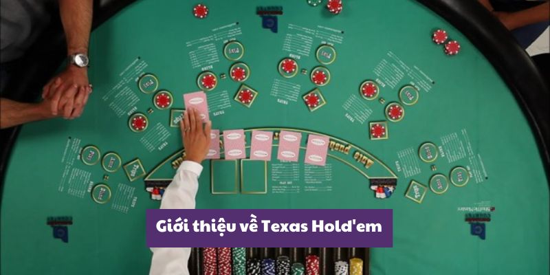 Kham Pha Luat Choi Poker - Texas Hold'em