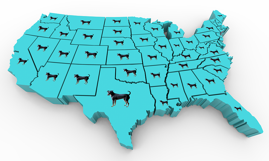 state by state unauthorized pets