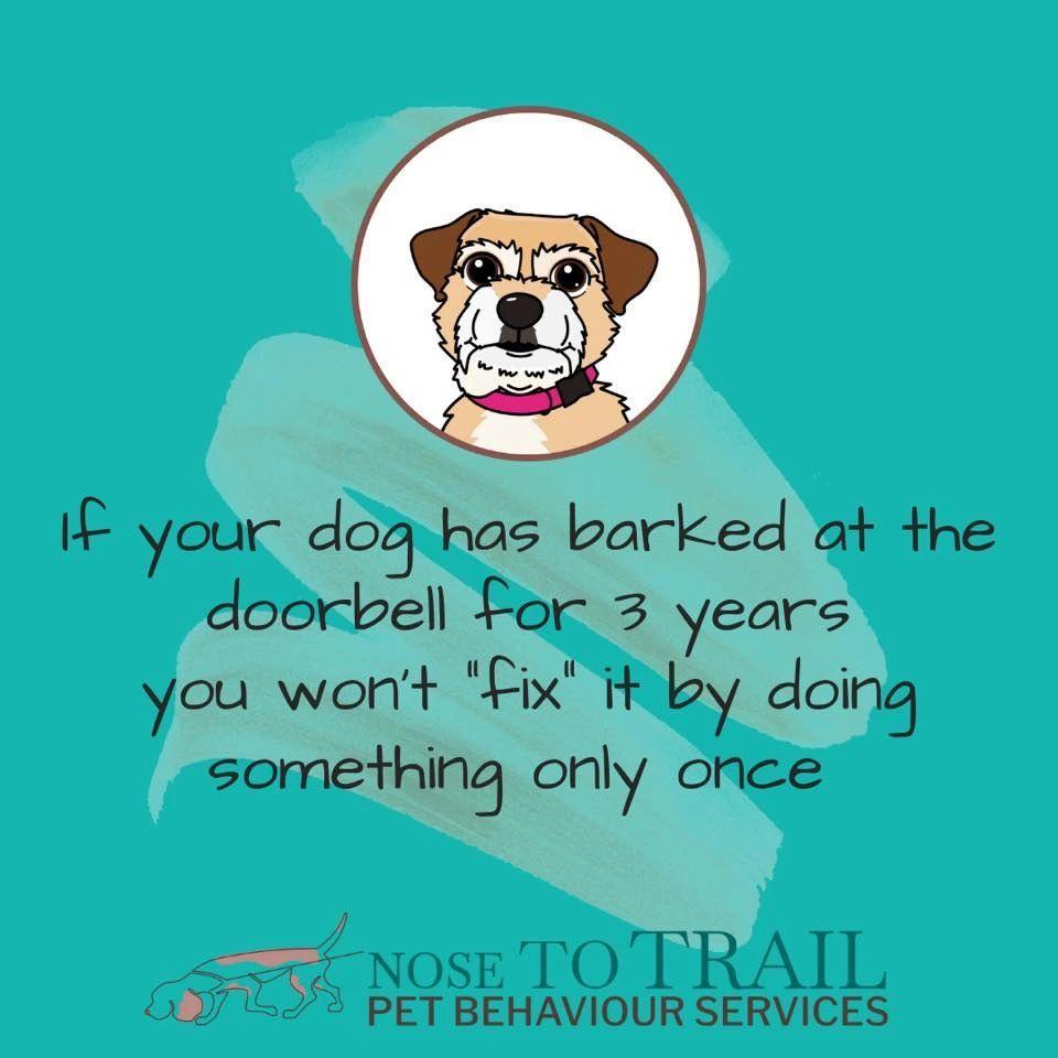small brown dog with the writing "if your dog has barked at the doorbell for 3 years, you won't "fix" it by doing something only once