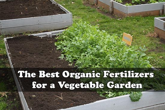 Best Organic Fertilizers