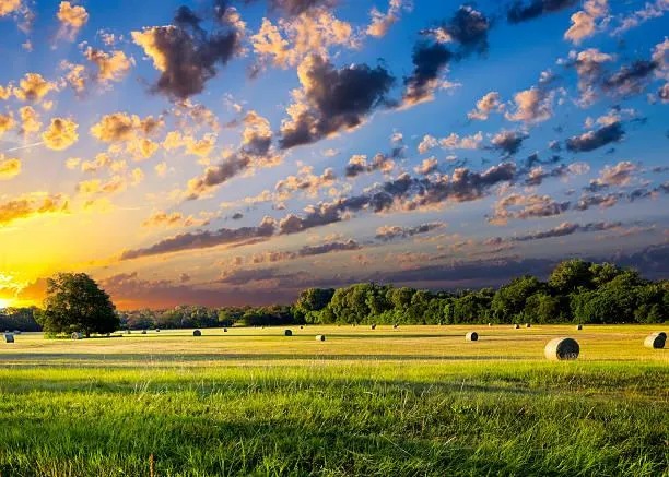 Discover Nature