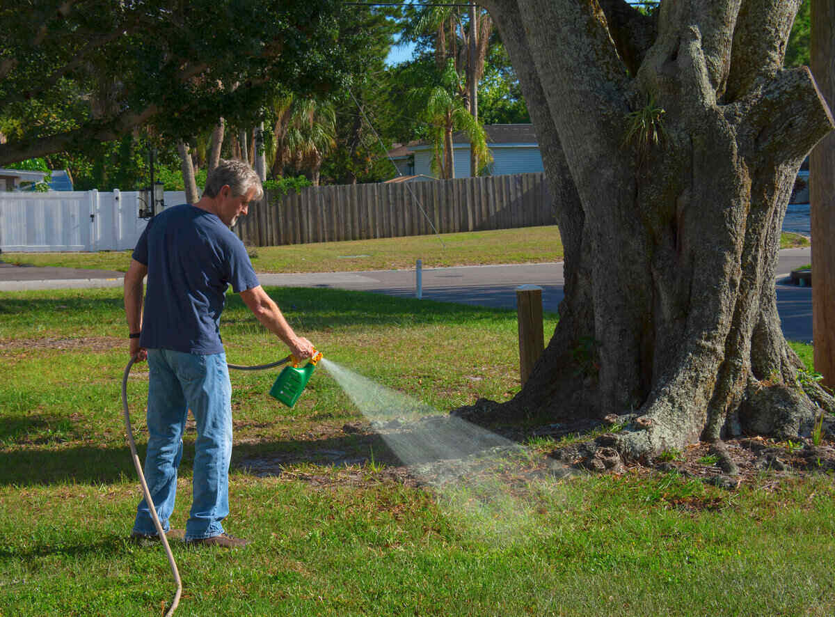 Scotts Starter Fertilizer Application