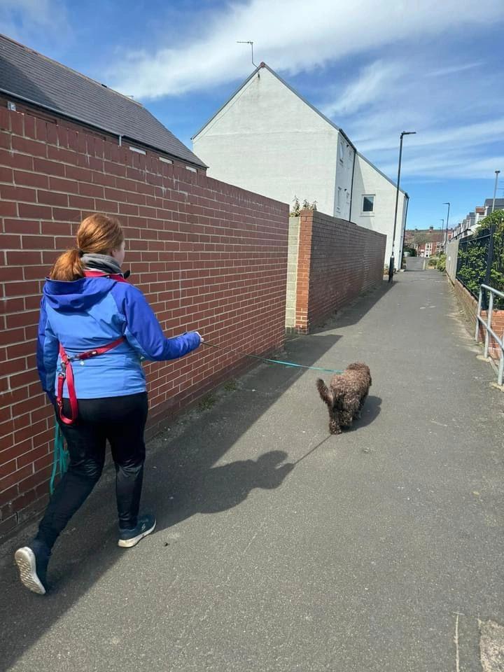 Rebecca and Chip trailing in Cullercoats