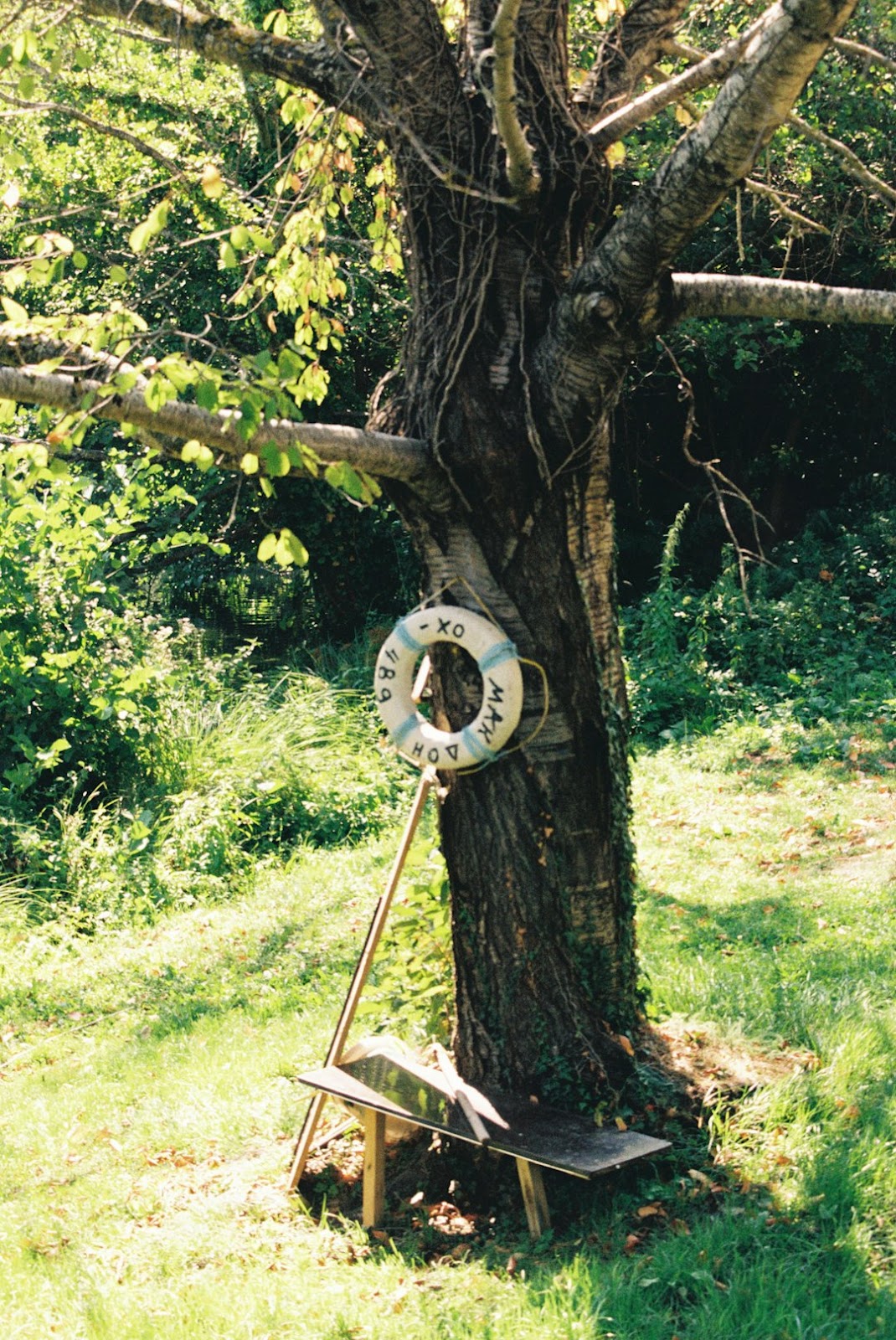 Arborist using advanced equipment