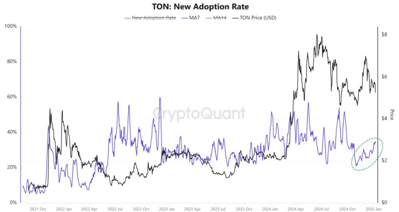 TON’s improved block generation times and staking yields reflect technical progress aimed at boosting user adoption.
