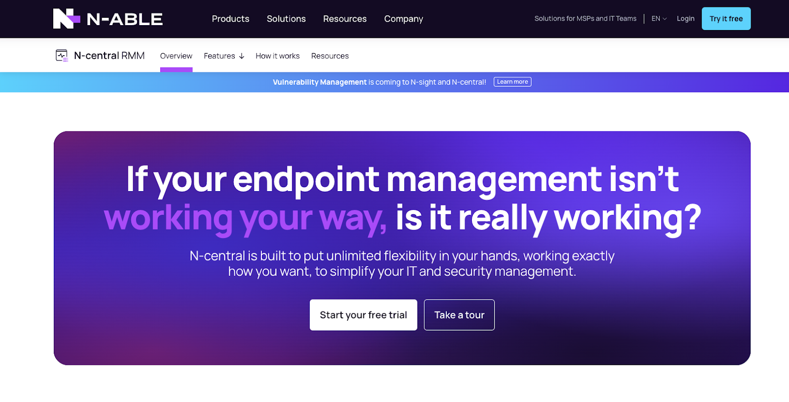 Screenshot of N-able - Best IT reporting tool focused on endpoint management. It says, "If your endpoint management isn't working your way, is it really working?"
