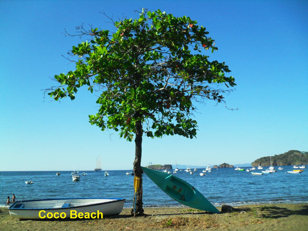 Lot of ships sailing in clear water and brown sand at the border of beach and sky looks clear