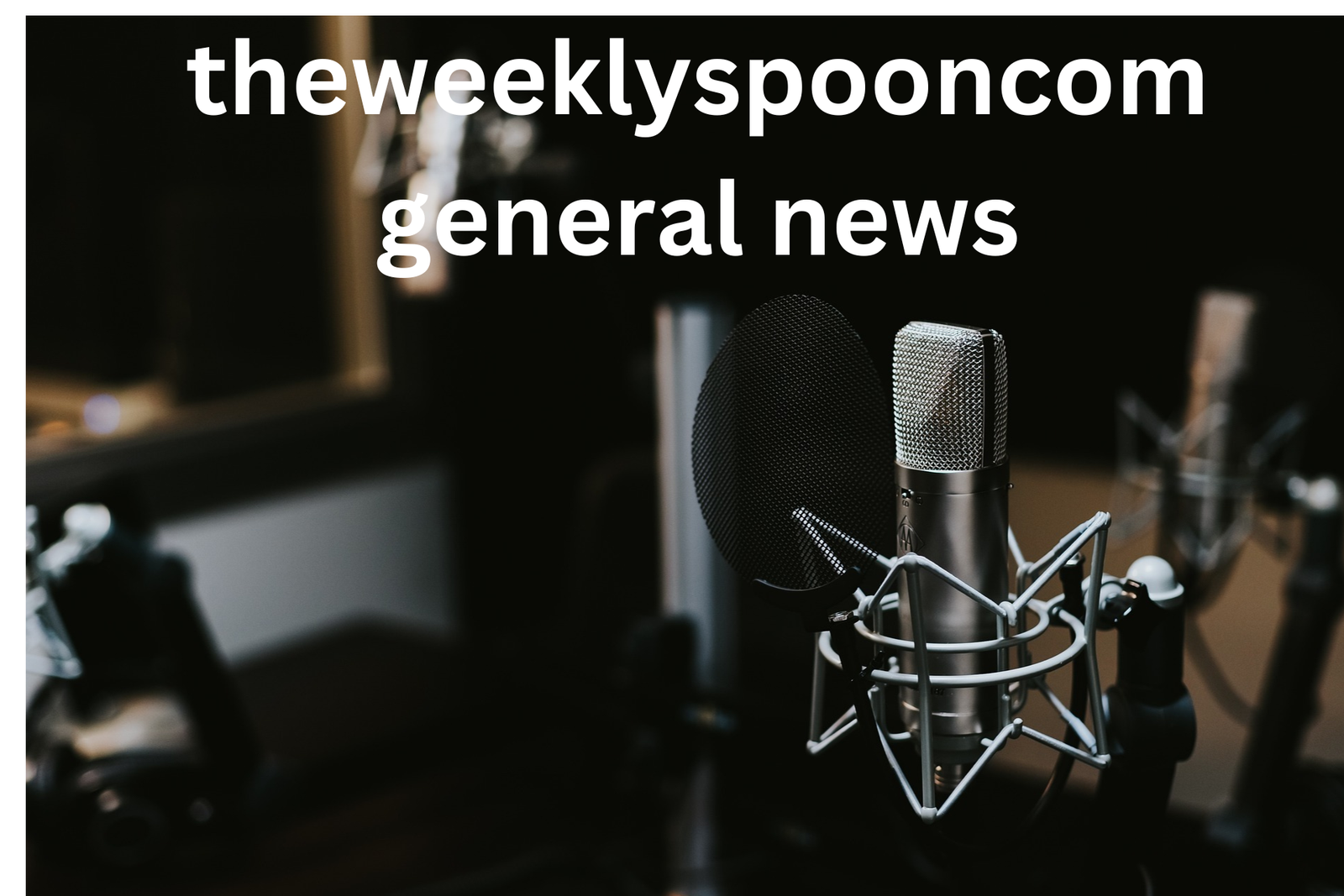 theweeklyspooncom general news