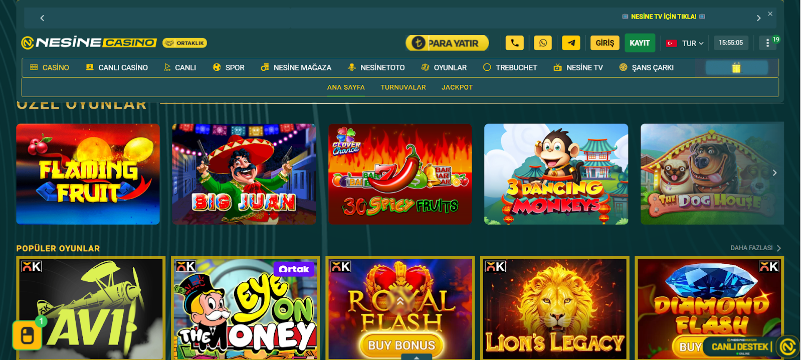 Nesinecasino slot oyunları