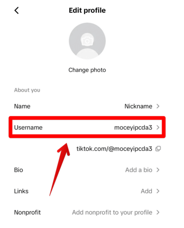 TikTok Username Ideas: Get Noticed, Get Following!