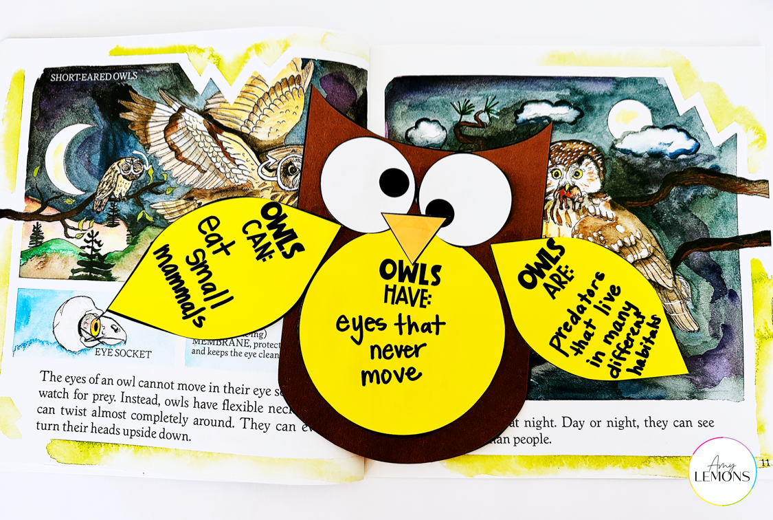 Brown and yellow Owl craft with facts about owls on the body and the book Owls by Gail Gibbons to be used as free fall reading activities.