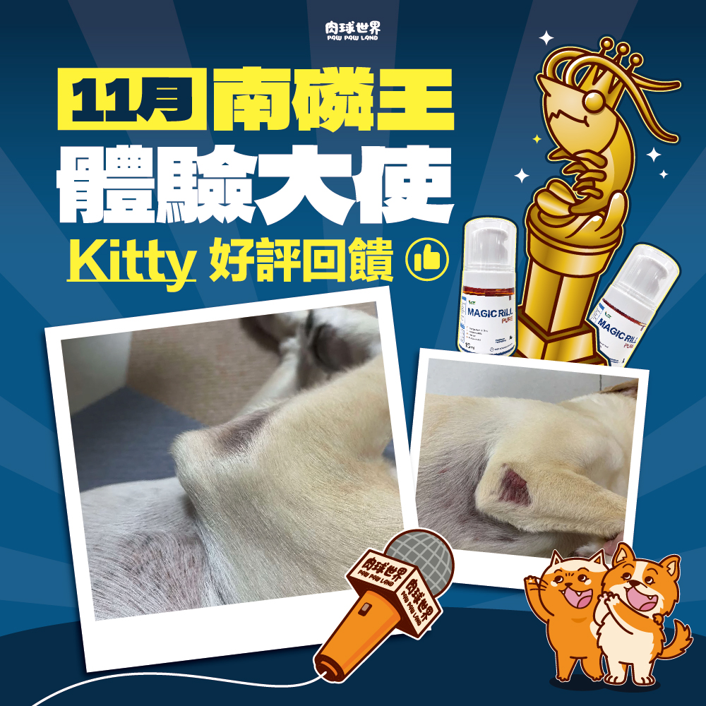 2. 2024年11月南磷王體驗大使│Kitty│好評回饋
