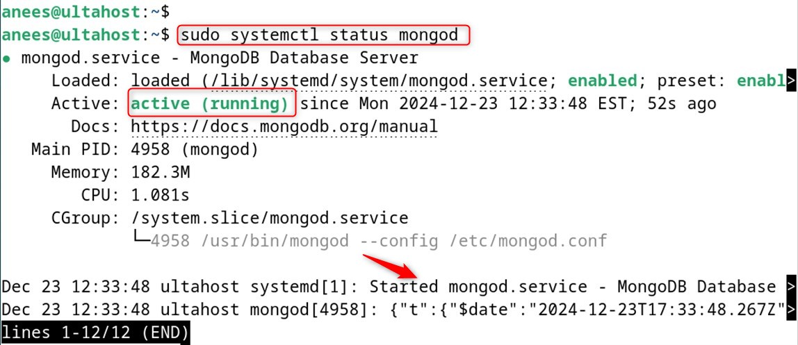 check status mongodb