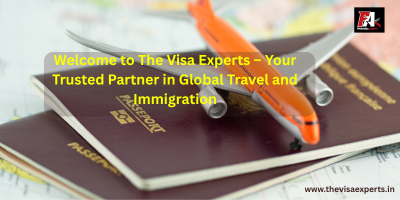 the visa experts