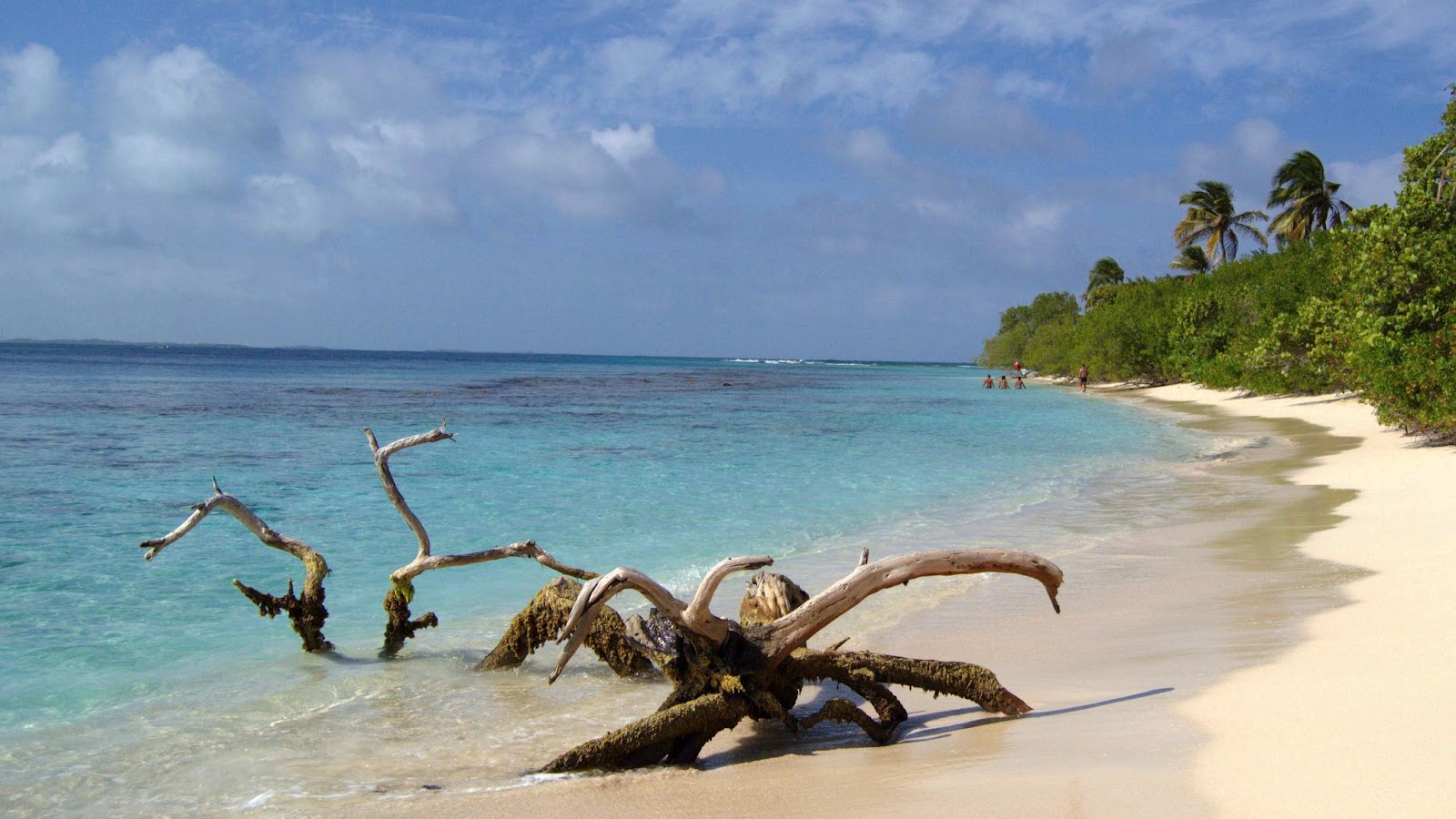 Exploring the Crystal Waters: Discover the 10 World's Bluest Beaches