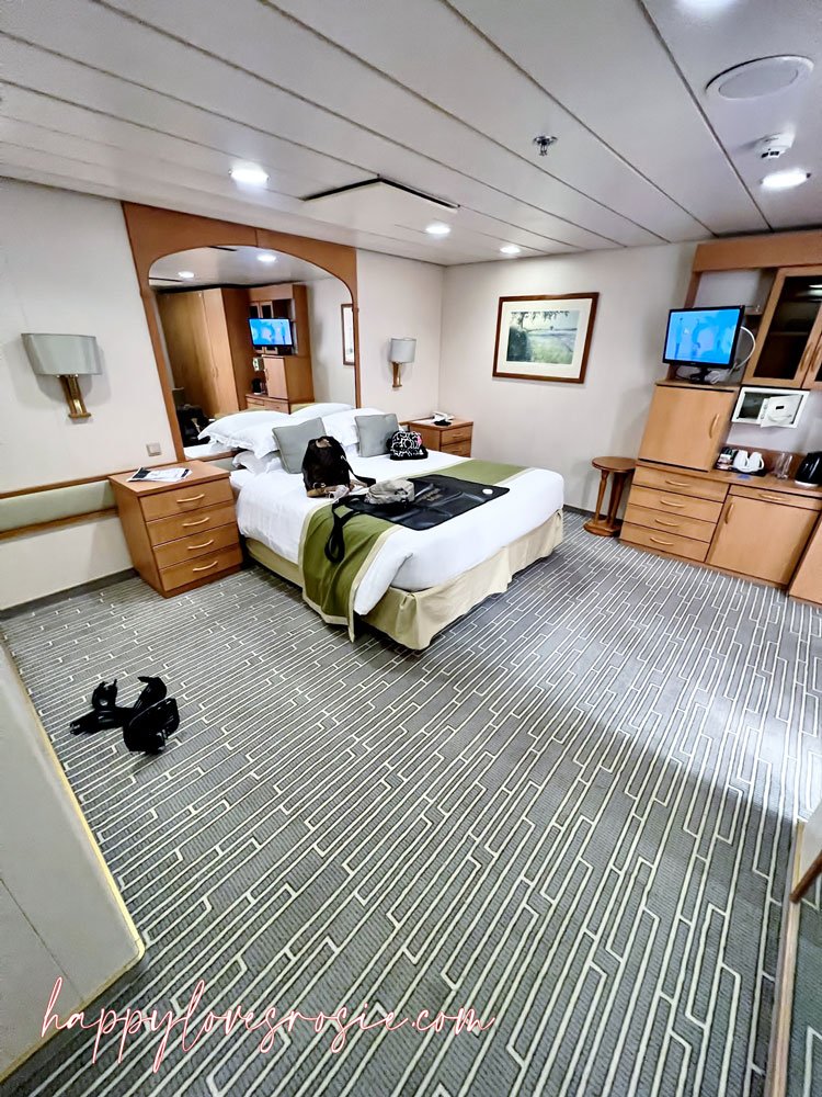 Disabled accessible cabin on the aurora cruise ship