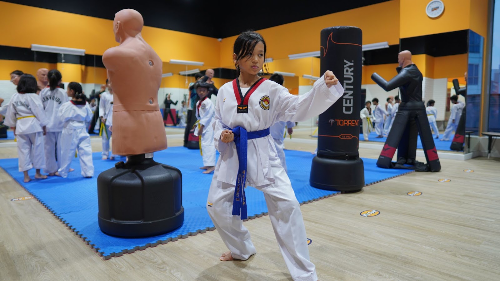 Types of Taekwondo Stances - Back Stance (dwi kubi seogi) from the side