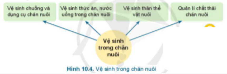 BÀI 10.PHÒNG VÀ TRỊ BỆNH CHO VẬT NUÔIMỞ ĐẦUCâu hỏi: Hãy kể tên một số loại bệnh ở vật nuôi mà em biết.Đáp án chuẩn:Dịch tả lợn; bệnh lỵ trên gia cầm1. PHÒNG, TRỊ BỆNH CHO VẬT NUÔI1.1 Khái niệm về bệnhCâu hỏi : Quan sát Hình 10.1 và cho biết vật nuôi bị bệnh có những biểu hiện khác thường gì?Đáp án chuẩn:Suy nhược và gầy yếu, bỏ ăn, nằm một chỗ, cơ thể phình to.1.2. Nguyên nhân gây bệnhCâu hỏi: 1. Bệnh ở vật nuôi xảy ra khi nào?2. Có mấy tác nhân gây bệnh ở vật nuôi?* Vì sao bệnh truyền nhiễm lại gây tổn thất lớn cho ngành chăn nuôi?Đáp án chuẩn:1. Tác nhân gây bệnh xâm nhập vào cơ thể động vật, khiến động vật có sức đề kháng thấp và sống trong môi trường bất lợi.2. Tác nhân bên ngoài và bên trong cơ thể gây lây lan nhanh thành dịch.Luyện tập :1. Em hãy xác định các tác nhân gây bệnh của vật nuôi trong Hình 10.32. Những bệnh nào có khả năng lây lan thành dịch?Đáp án chuẩn:1. Chấn thương, tai nạn, vi sinh vật, kí sinh trùng..; Lí học; Hóa học2.  Tác nhân sinh học và hóa học 1.3. Vai trò phòng, trị bệnh cho vật nuôiCâu hỏi: Phòng, trị bệnh cho vật nuôi có vai trò như thế nào trong chăn nuôi?Đáp án chuẩn:Đảm bảo phát triển chăn nuôi ổn định, bền vững1.4.Biện pháp phòng, trị bệnh cho vật nuôiCâu hỏi: 1. Em hãy nêu các biện pháp phòng bệnh cho vật nuôi.2. Khi vật nuôi bị bệnh, người nuôi cần làm gì?Đáp án chuẩn:1. Tiêm vaccine đầy đủ, chăm sóc và cho ăn đầy đủ.2. Trị bệnh cho vật nuôi, báo ngay cán bộ thú y đến khám và điều trị.2. VỆ SINH TRONG CHĂN NUÔI