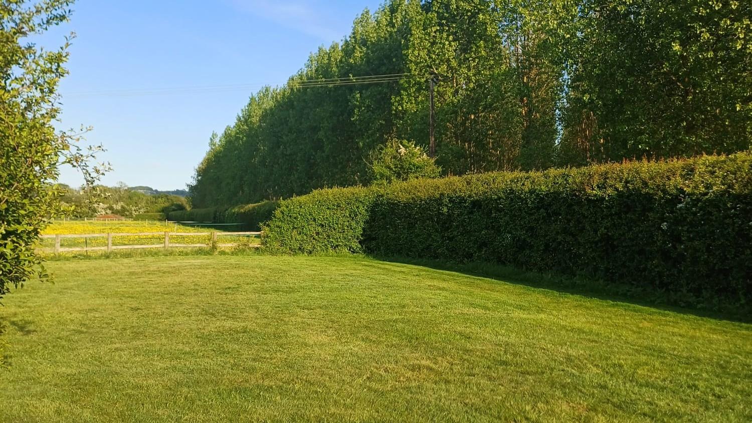 A grassy area with a hedge and trees

AI-generated content may be incorrect.