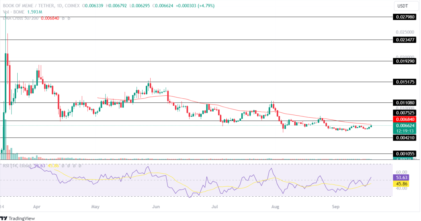 BOOK OF MEME Price Analysis September 2024