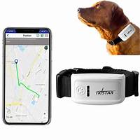 GPS Tracking: Locate Your Dog Quickly And Safely.