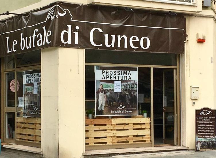 Savona.jpg