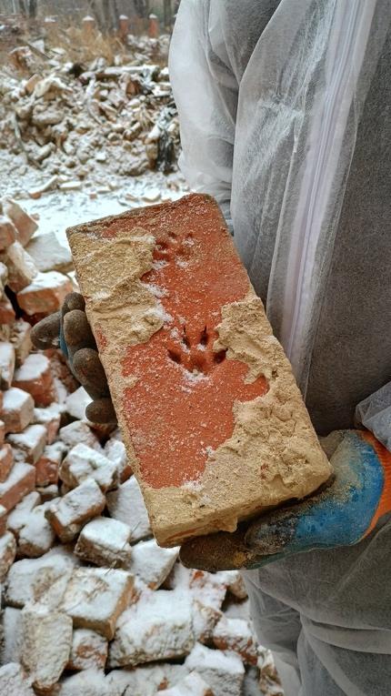 A hand holding a brick with a paw print

Description automatically generated