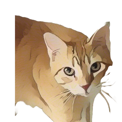 A cat looking at the camera

AI-generated content may be incorrect.