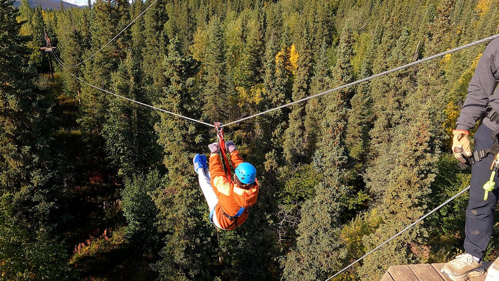 Getting Around and Exploring Denali National Park