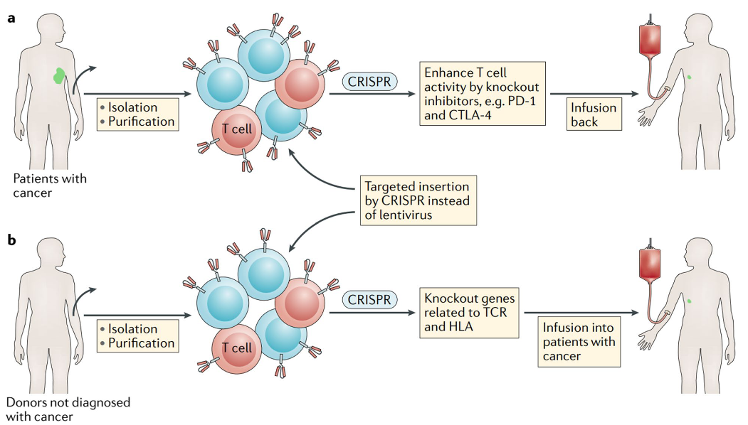 The application of CRISPR in immuno‑oncology.