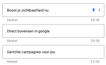 Koppen en beschrijvingen vastzetten in Google Ads: goed idee of niet?
