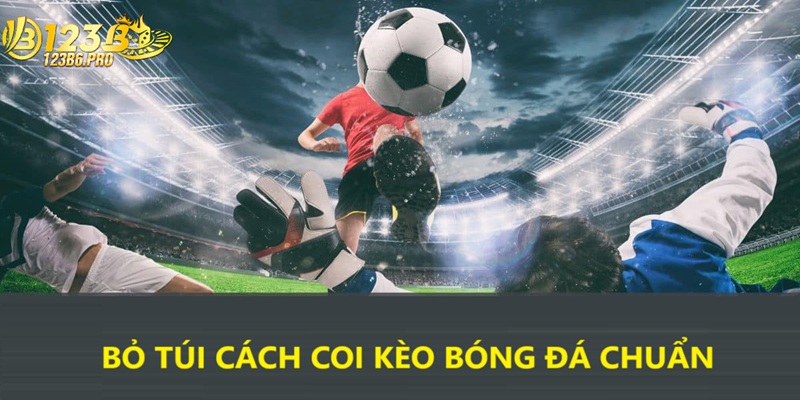 Bỏ túi cách coi kèo bóng đá chuẩn nhất giới cá độ.