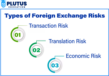 Exchange Rate Risk Exposure