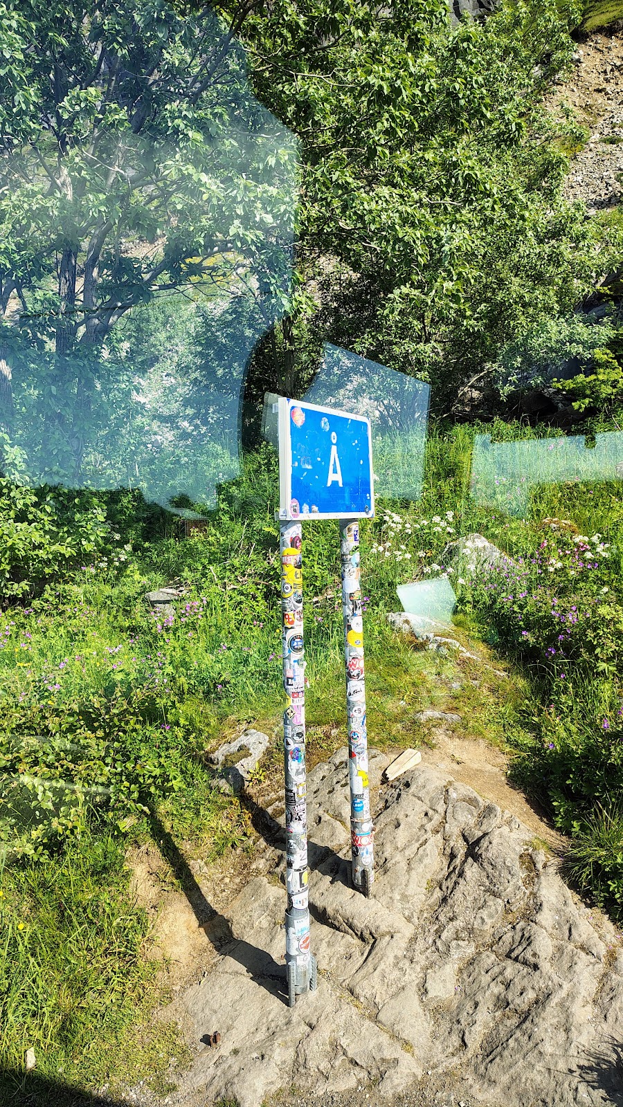 AD_4nXfirpSD6DCVdgL-kVQlo3X6HKYhlF4-KHgjULOnkAhoKLzN3JPSDMc3FciLrrHLQp5Mdb5R4JEnPozUn9EIjCLUYndSoP_pD4UXYTnImghv0DAxfaLwf30ptaMxqdNAjce0gWyCHA?key=W0n7QeEgpeBzQtemWGlOKw