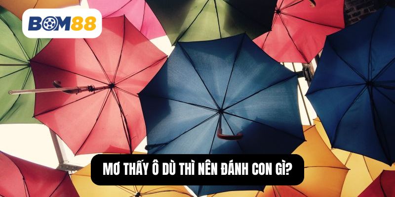 Mơ thấy ô dù thì nên đánh con gì?