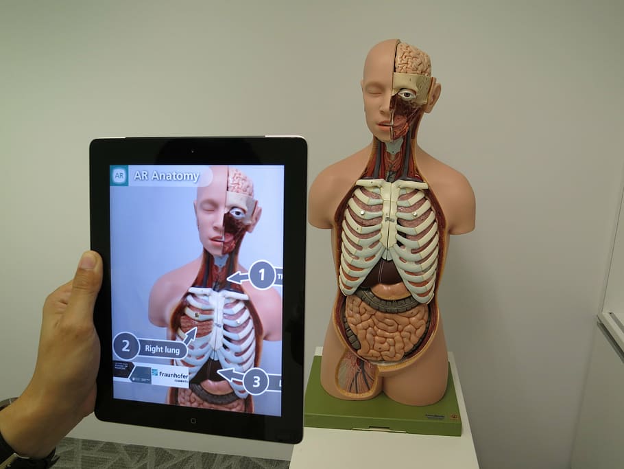 Tablet showing AR overlay of a human anatomy model