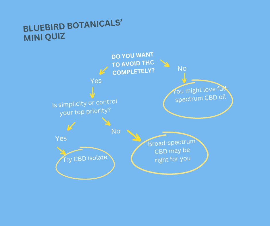 Mini Quiz: How to choose the right CBD products