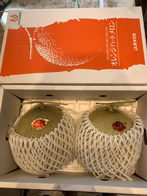 靜岡哈密瓜園的溫室栽培