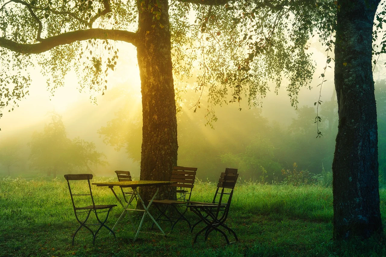 A table and chairs under a tree

Description automatically generated