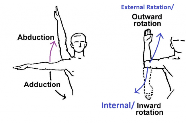 Range of Motion for Shoulder