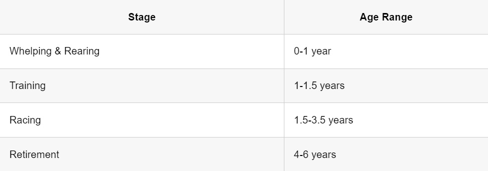 Summary of a Greyhound’s Timeline from Birth to Retirement. Source: towcester-racecourse