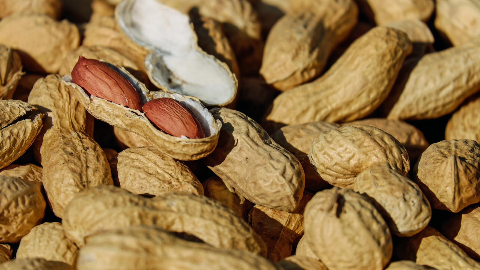 peanuts
